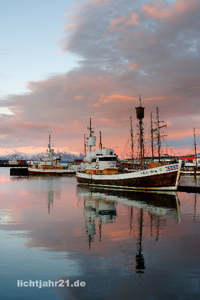Narvik Schiffe Morgenlicht